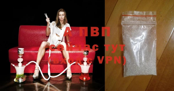 СК Белокуриха