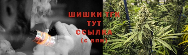 mdpv Богданович