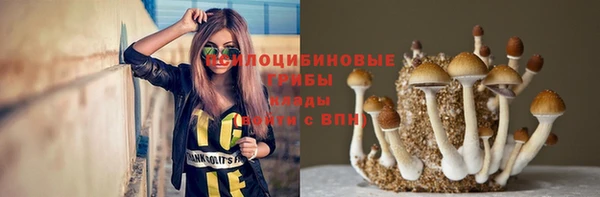 СК Белокуриха