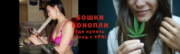 mix Богородицк