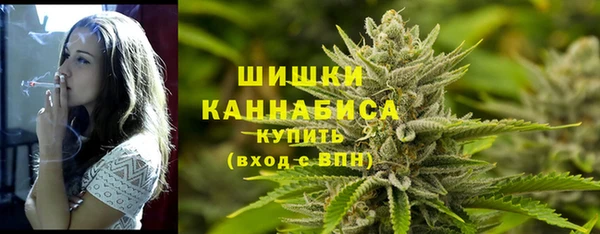 сатива Богородск