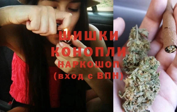 СК Белокуриха
